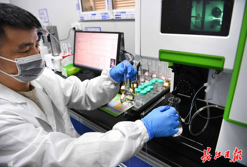 武漢中小企業(yè)借腦高校，以專(zhuān)精特新勁頭角逐信息技術(shù)賽道