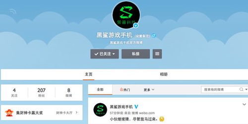 小米戰(zhàn)略投資黑鯊游戲手機(jī) 游戲手機(jī)市場的新篇章與信息系統(tǒng)集成服務(wù)的前景