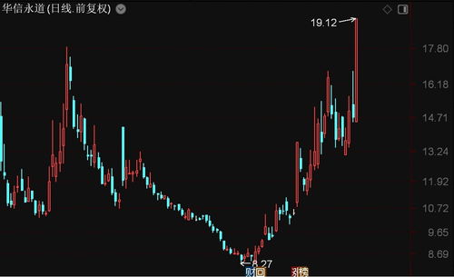北證50指數強勢上揚，華信永道、聯迪信息領漲，信息系統集成服務板塊表現亮眼